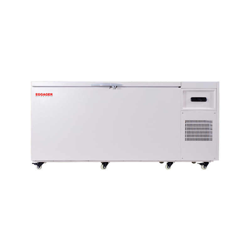 -60°C Chest Deep Freezer